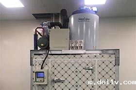 汕头水产加工 日产5吨片冰机
