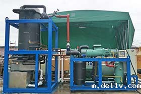 出口印度尼西亚 日产30吨管冰机