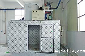 韶关食品加工 2台日产10吨片冰机