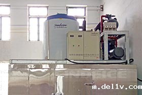 南宁食品加工 日产10吨片冰机