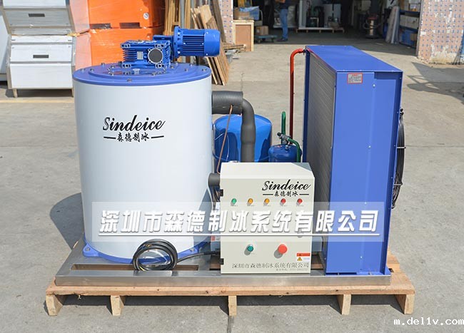 大型超市片冰机